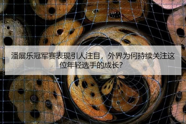 潘展乐冠军赛表现引人注目，外界为何持续关注这位年轻选手的成长？（leyu）